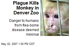 Plague Kills Monkey in Denver Zoo