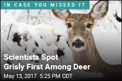 Scientists Spot Grisly First Among Deer