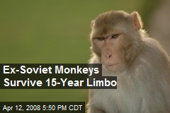 Ex-Soviet Monkeys Survive 15-Year Limbo