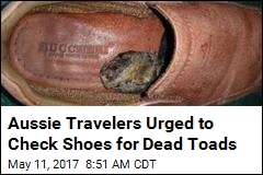 Aussies Urge Travelers to Avoid Hitchhiking Amphibians