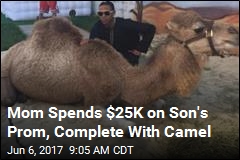 Mom Spends $25K on Son&#39;s Prom, Complete With Camel