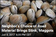 Neighbor&#39;s Choice of Road Material Brings Stink, Maggots