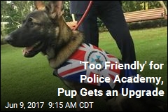 &#39;Too Friendly&#39; for Police Academy, Pup Gets an Upgrade