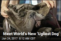 Martha the Mastiff Is &#39;World&#39;s Ugliest Dog&#39;