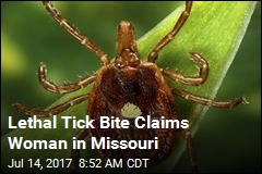 Rare Tick-Borne Virus Kills Woman in Missouri
