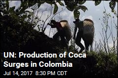 UN: Production of Coca Surges in Colombia