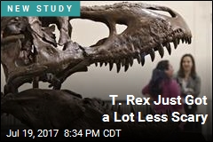 T. Rex Just Got a Lot Less Scary