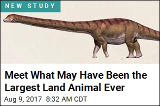 Biggest Dino Ever May Have Been as Heavy as Space Shuttle