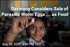 Germany Considers Sale of Parasitic Worm Eggs ... as Food