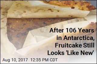 After 106 Years in Antarctica, Fruitcake Still Looks &#39;Like New&#39;