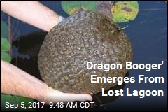 &#39;Dragon Booger&#39; Emerges From Lost Lagoon
