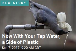 Now With Your Tap Water, a Side of Plastic