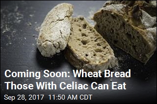 Gene Editing May Make Bread Safe for Celiacs