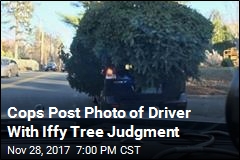 Cops: This Is How Not to Bring Home Your Tree