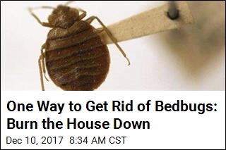 One Way to Get Rid of Bedbugs: Burn the House Down