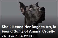 She Likened Her Dogs to Art, Is Found Guilty of Animal Cruelty