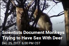 Scientists Document Monkeys Trying to Have Sex With Deer