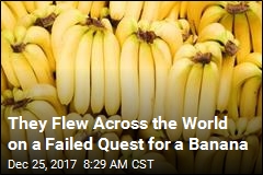 They Flew Across the World on a Failed Quest for a Banana