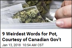 The Canadian Government Has Pot Slang to Teach You