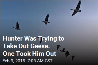 Goose Falls From Sky, Knocks Hunter Out