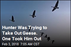 Goose Falls From Sky, Knocks Hunter Out