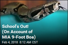 School&#39;s Out! (On Account of MIA 9-Foot Boa)