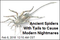 Ancient Spiders With Tails to Cause Modern Nightmares