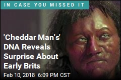 &#39;Cheddar Man&#39;s&#39; DNA Reveals Surprise About Early Brits