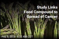 Study Links Food Compound to Spread of Cancer