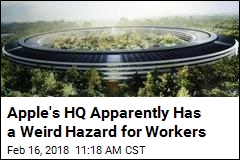 Apple&#39;s HQ Apparently Has a Weird Hazard for Workers