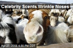 Celebrity Scents Wrinkle Noses