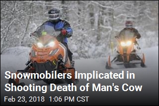 Snowmobilers Lose Trail Access After a Cow Is Shot