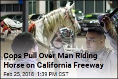 Cops Pull Over Man Riding Horse on California Freeway