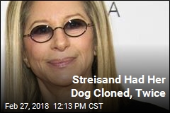 Streisand&#39;s Dogs Are Clones of Her Other Dog