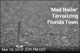 &#39;Mad Nailer&#39; Terrorizing Florida Town
