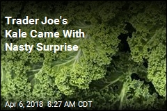 Trader Joe&#39;s Kale Came With Nasty Surprise