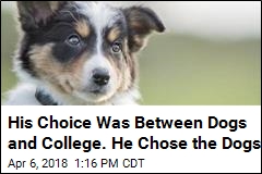 He Dropped Out of College to Rate Dogs on Twitter