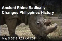 Ancient Rhino Radically Changes Philippines History