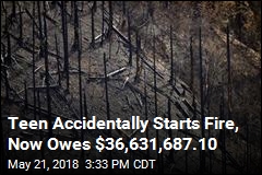 Teen Accidentally Starts Fire, Now Owes $36,631,687.10