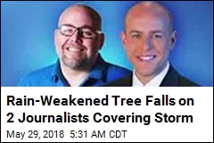 Journalists Covering Storm Killed by Falling Tree