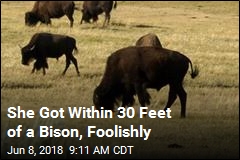 She Got Within 30 Feet of a Bison, Foolishly