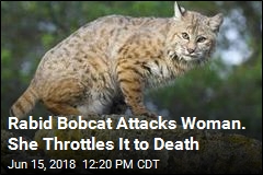 Rabid Bobcat Attacks Woman. She Throttles It to Death