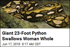 Giant 23-Foot Python Swallows Woman Whole