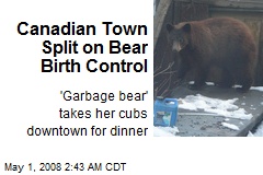 Canadian Town Split on Bear Birth Control
