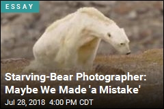 Starving-Bear Photographer: Maybe We Made &#39;a Mistake&#39;