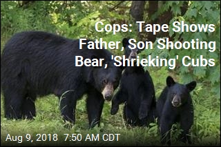 Cops: Tape Shows Father, Son Shooting Bear, &#39;Shrieking&#39; Cubs