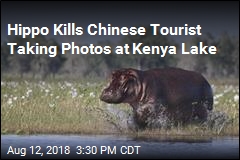 Hippo Kills Chinese Tourist Taking Photos at Kenya Lake