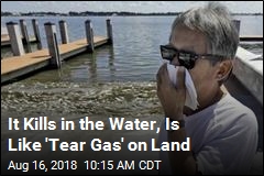 It Kills in the Water, Is Like &#39;Tear Gas&#39; on Land