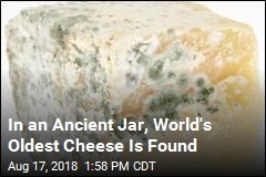 Researchers Found the World&#39;s Oldest Cheese