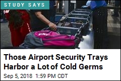 More Cold Germs on Airport Security Trays Than Toilets